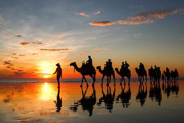 Coucher de soleil avec des chameaux sur la plage. Broome, Australie