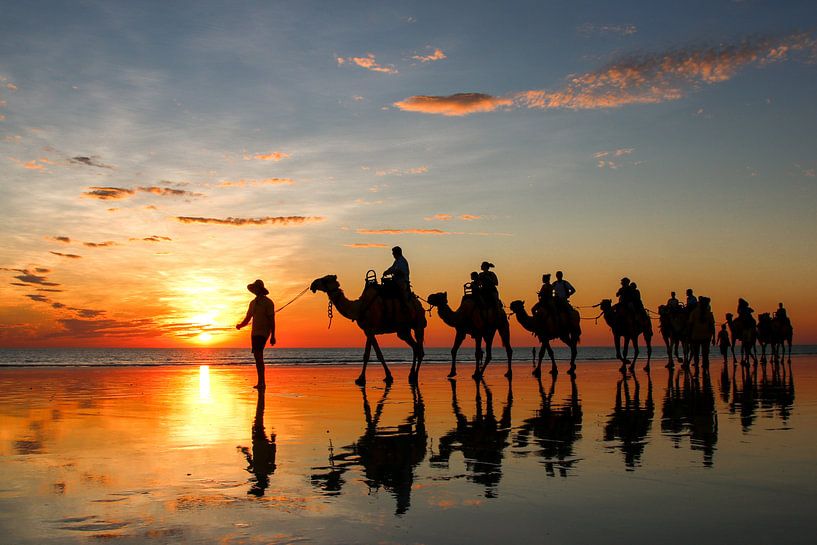 Zonsondergang met kamelen op het strand. Broome, Australië van The Book of Wandering