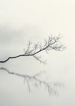 Ein einsamer Zweig über dem spiegelnden, stillen Wasser