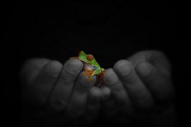 in your hands by hanny bosveld