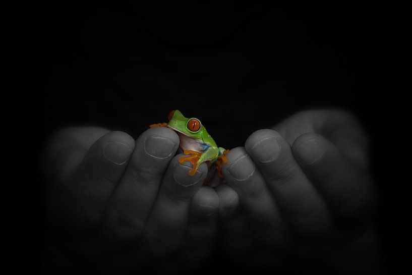 in your hands by hanny bosveld