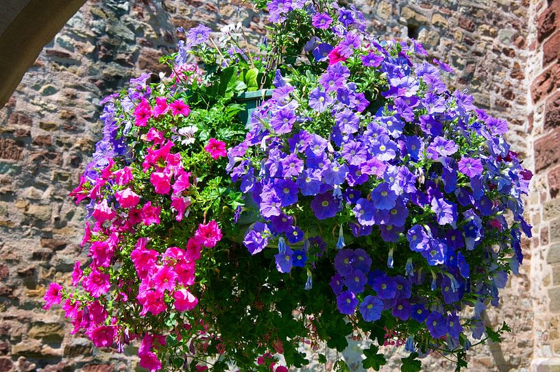 Flower arrangements in Alsace by Tanja Voigt