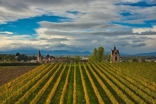 Wijngaarden met uitzicht op Endingen im Kaiserstuhl