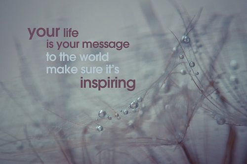 Quote: Your life is your message to the world....