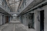 Prison HF van Stijn Matthé thumbnail
