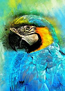 Parrot Ara bierd #parrot by JBJart Justyna Jaszke