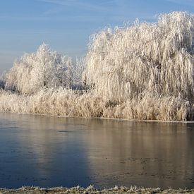 winter in Almere van Beer Foto