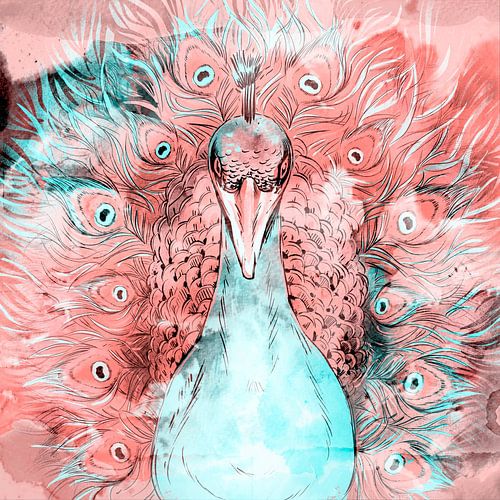 Japanse Pauw Zomer Editie