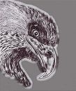 Eagle ( Zeichnung geändert ) von Jose Lok Miniaturansicht