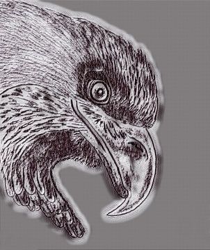 Eagle ( drawing modified ) by Jose Lok