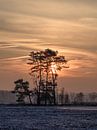 Winter scene with snow covered wetland and colorful sunrise_2 by Tony Vingerhoets thumbnail