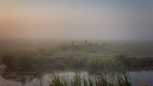 Polder landscape