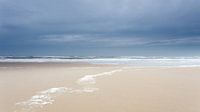 Silence before the storm