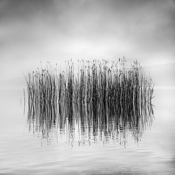Morning Mist by George Digalakis