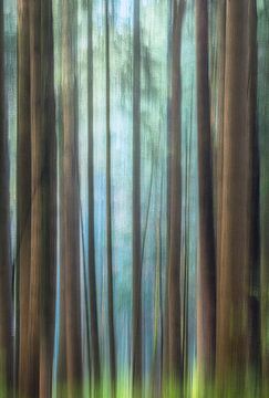 Wunderwald - Malerisches Waldfoto von Jeroen Lagerwerf