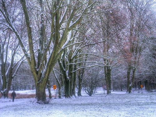 Wandeling in de sneeuw