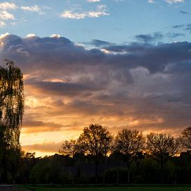 Lucht Pano von Joop de Lange