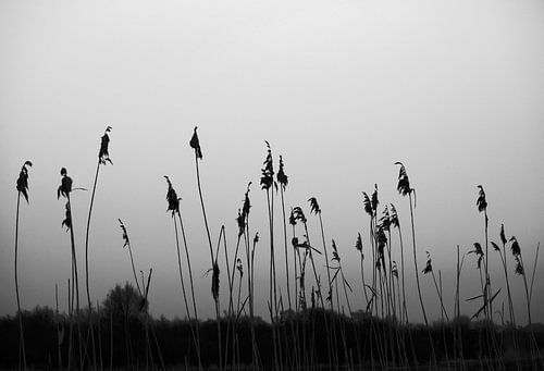 "So Close No Matter How Far 2. "  