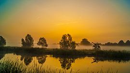 De kleur is geel vandaag.. by Sparkle King