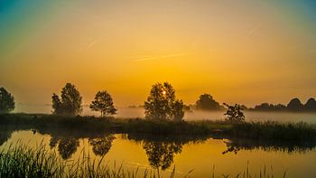 De kleur is geel vandaag..