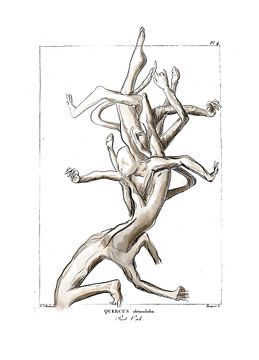 Drawing vitality: The oak tree by Sara-Lena Möllenkamp