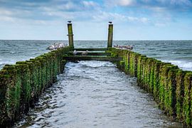 Breakwater at Zoutelande