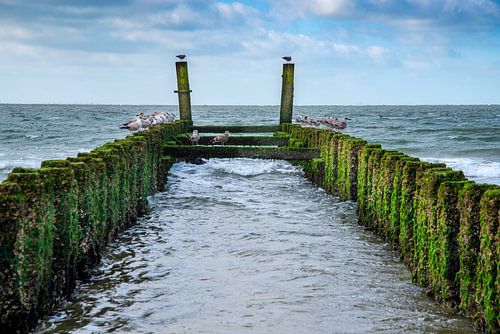 Breakwater at Zoutelande