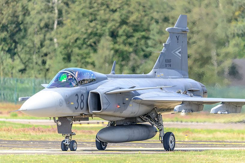 Saab JAS 39 Gripen of the Hungarian Air Force. by Jaap van den Berg