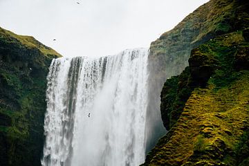 Skógafoss Wasserfall Island - Nahaufnahme von Suzanne Spijkers