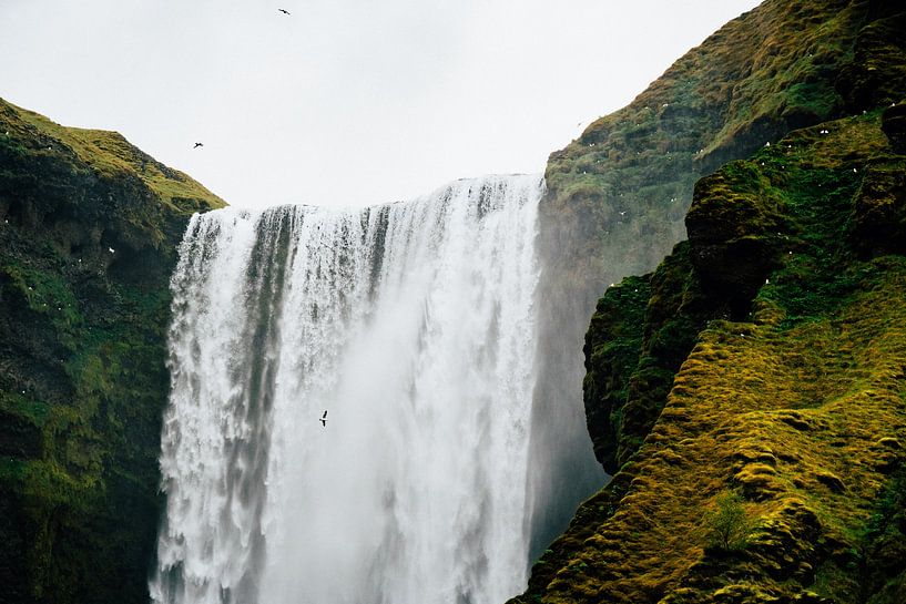 Chute d'eau Skógafoss Islande - gros plan par Suzanne Spijkers