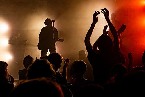 The crowd goes wild!