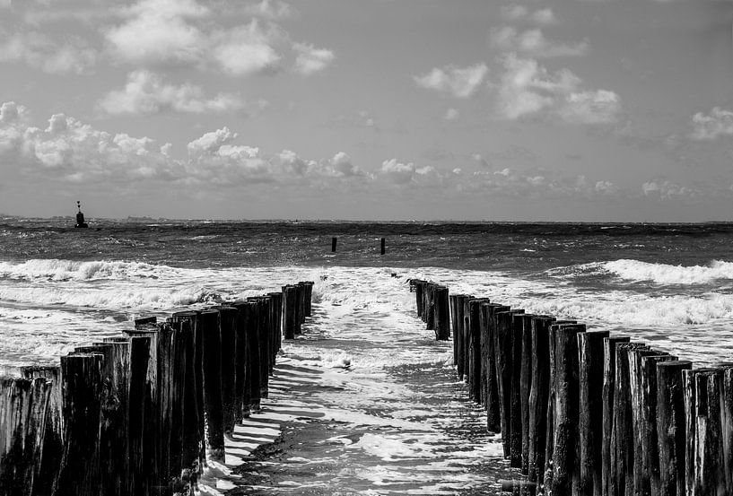 stormy weather by Nienke Stegeman