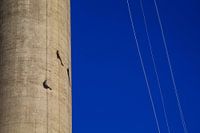 Euromast | abseiling