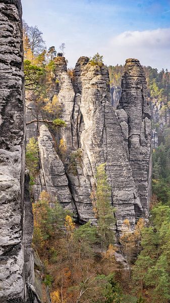 Rotsen en bossen in Sächsische Schweiz, Duitsland van Jessica Lokker