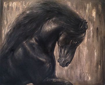 Laurens van de Zonschate