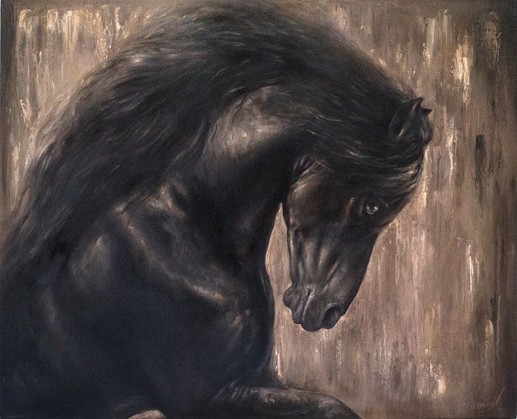 Laurens van de Zonschate by Paula Collewijn