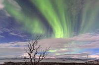 Aurora über Abisko – Der Himmel tanzt in grünem Licht