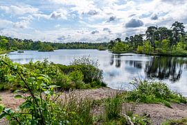 The Voorste Goorven in Oisterwijk in its entirety. by Els Oomis