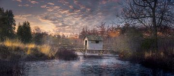 Oldemeijer, Haarplas, Hardenberg van Ton Drijfhamer