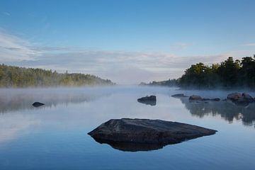 See in Südschweden, früh am Morgen, mit Rost im Wasser.
