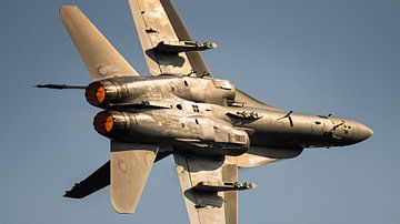 Finnish F-18 by Dennis Janssen