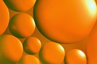 Bollen