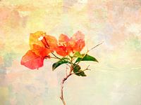 Soft Tone