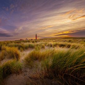 Leuchtturm von Texel in der Landschaft von Andy Luberti