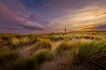 Texel lighthouse in the landscape