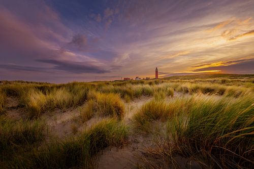 Le phare de Texel dans le paysage