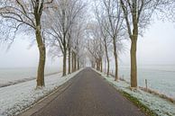 Straße durch eine eisige Winterlandschaft während eines nebelhaften Morgens von Sjoerd van der Wal Fotografie Miniaturansicht