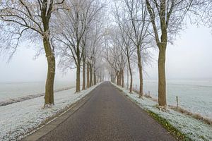 Straße durch eine eisige Winterlandschaft während eines nebelhaften Morgens von Sjoerd van der Wal Fotografie