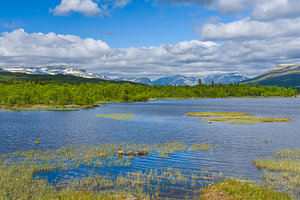 Aussicht von den Panoramavegen, Buskerud, Norwegen