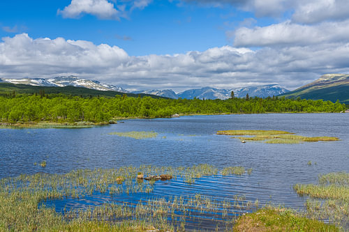 View from Panoramavegen, Buskerud, Norway by Henk Meijer Photography